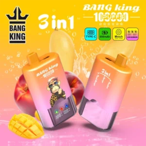 Bang King 100k Puffs 3 in 1 Best Disposable Vape Shop Free Shipping