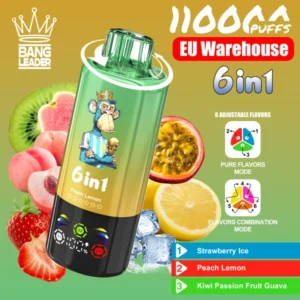 Bang Leader 110K Puffs 6 in 1 Disposable Vape 110000 3 to 7 Work Days Delivery EU Warehouse