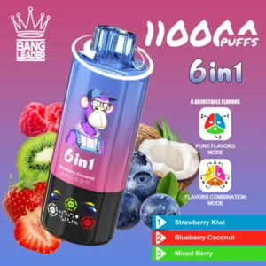 Bang Leader 110 Puffs 6 in 1 Disposable Vape 110000 3 to 7 Work Days Delivery EU Warehouse