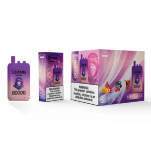 Bang Leader 80k Puffs 3 in 1 Flavors 80000 Best Disposable Vape Fast Delivery EU Warehouse