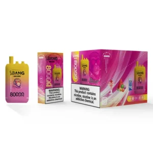 Bang Leader 80k Puffs 3 in 1 Flavors 80000 Best Disposable Vape Fast Delivery EU Warehouse