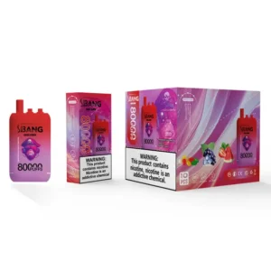 Bang Leader 80k Puffs 3 in 1 Flavors 80000 Best Disposable Vape Fast Delivery EU Warehouse