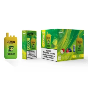 Bang Leader 80k Puffs 3 in 1 Flavors 80000 Best Disposable Vape Fast Delivery EU Warehouse