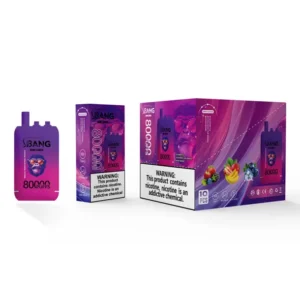 Bang Leader 80k Puffs 3 in 1 Flavors 80000 Best Disposable Vape Fast Delivery EU Warehouse