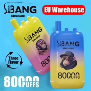 Bang Leader 80k Puffs 3 in 1 Flavors 80000 Best Disposable Vape Fast Delivery EU Warehouse