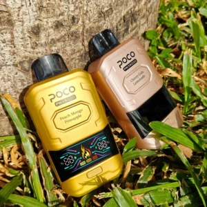 POCO PW 38000 Puffs Einweg Vape Kostenloser Versand EU-Lager