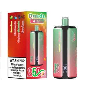 Bang King 250k Puffs 250000 4 in 1 Disposable Vape Free Shipping China Warehouse