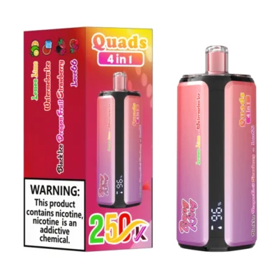 Bang King 250k Puffs 250000 4 in 1 Disposable Vape Free Shipping China Warehouse