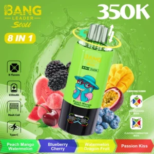 Bang Leader Stoll 350K Puffs Disposable Vape 35000 Free Shipping