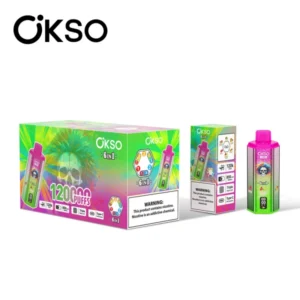 OKSO 120K Puffs 6 in 1 Best Disposable Vape Shop 120000 Free Shipping China Warehouse